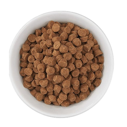 Tiki Cat Born Carnivore High Protein Chicken Herring & Salmon Dry Cat Food 2.8lb Poudre Pet & Feed Supply 3